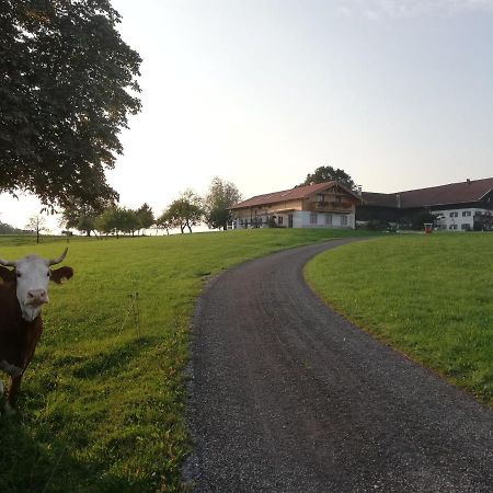 Sonnenhub Leilighet Irschenberg Eksteriør bilde